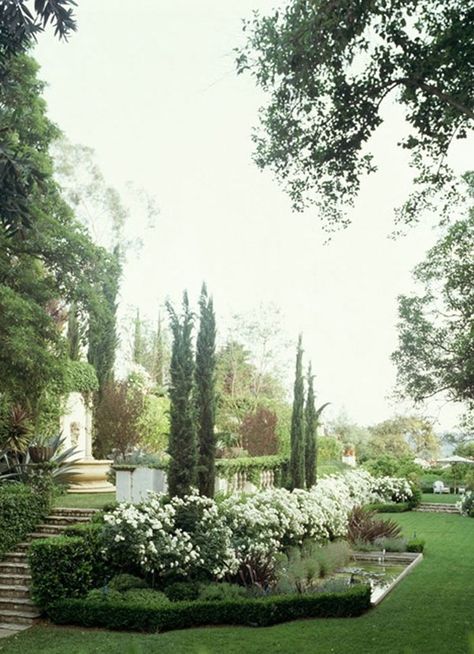 254101603945456260_iMoUL37p_f Italian Cypress, Tuscan Garden, Aesthetic Garden, Bamboo Garden, Garden Mini, Garden Aesthetic, Italian Garden, Moon Garden, Mediterranean Garden