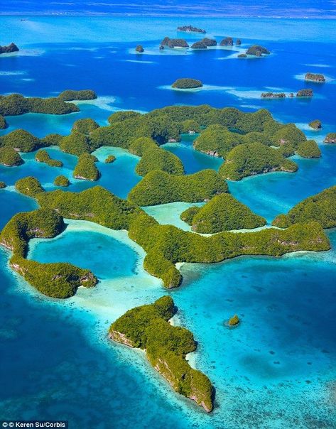 A marine sanctuary which houses thousands of fish species, translucent waters and breath-taking dive and snorkel locations, will remain preserved after a new law was passed in the Archipelago, Republic of Palau #palau #oceania #island #tropical #vacation #diving South Pacific Islands, Oceania Travel, Island Destinations, Pacific Islands, Rock Island, Palau, Island Travel, Incredible Places, South Pacific