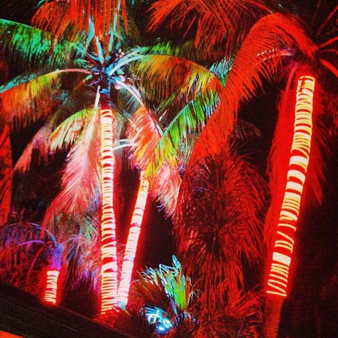 Miami Theme Party, Disco Jungle, Miami Vice Party, Miami Beach Pictures, Miami Beach Party, Miami Vice Theme, Waterfront Development, Homecoming Decorations, Miami Party