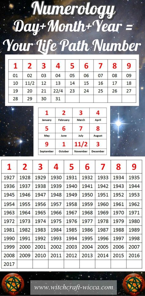 Life Path 6, Chinese Numerology, Numerology Calculation, Numerology Life Path, Numerology Numbers, Numerology Chart, Life Path Number, Astrology Numerology, Number Meanings