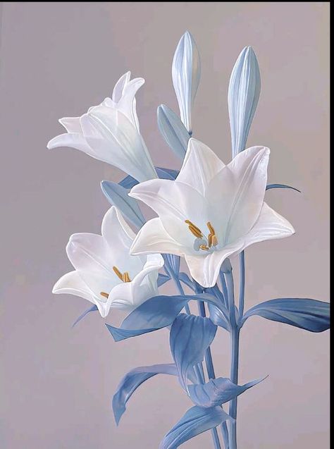 Stargazer Lillies, Icona Ios, Lily Wallpaper, Blue Flower Wallpaper, Floral Wallpaper Iphone, Typography Illustration, Flowers Photography Wallpaper, Flowery Wallpaper, Flower Iphone Wallpaper