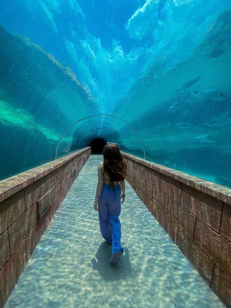 Travel Pic Ideas, Pic Ideas Poses, Atlantis Resort Bahamas, Bahamas Pictures, Water Tunnel, Underwater Tunnel, Bahamas Beach, Atlantis Bahamas, Bahamas Travel