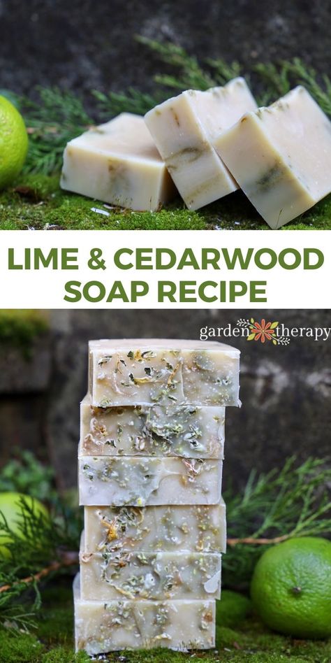 Mens Soap Recipe, Cedarwood Soap, Natural Soaps Recipes, Homemade Soap Bars, Easy Soap Recipes, Diy Soap Recipe, Handmade Soap Recipes, Cold Process Soap Recipes, Garden Therapy