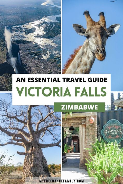 The best places to visit in Victoria Falls including the falls, the bottle trees, Zambesi river restaurant and the wildlife. Victoria Falls Africa, South Africa Vacation, Africa Bucket List, African Vacation, Botswana Travel, Victoria Falls Zimbabwe, Cape Town Travel, African Travel, Victoria Falls