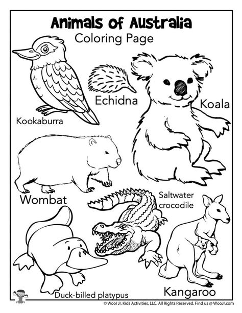 Alexander and the Terrible, Horrible, No Good, Very Bad Day Lesson Plan | Woo! Jr. Kids Activities Outback Animals Preschool, Australia Lesson Plans Preschool, Zoomerang Vbs, Australia For Kids, Animals Around The World, Australia Crafts, Animals Coloring Pages, Sistem Solar, Animal Worksheets