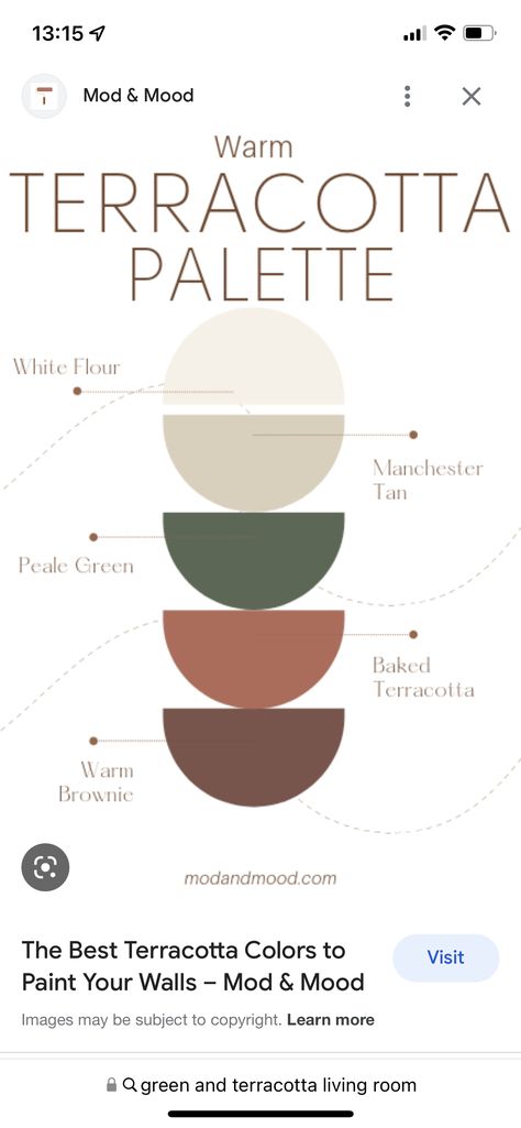 Color Palette Green Terracotta, Rooms With Terracotta Floors, Taupe And Terracotta Living Room, Terracotta And Green Office, Rust Wall Living Room, Terracotta Dressing Room, Laundry Room Terracotta, What Colour Goes With Terracotta, Terracotta And Cream Color Palette