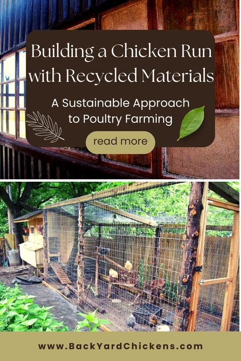 A chicken run is an enclosed area designed to keep chickens safe from predators while allowing them to exercise and forage freely. Building a chicken run can be expensive and time-consuming, but using recycled materials can make it an affordable and sustainable project.

This article outlines the benefits of building a chicken run with recycled materials and provides a step-by-step guide to constructing a functional and sustainable chicken run. Chicken Run From Pallets, Recycled Material Chicken Coop, Inexpensive Chicken Run, Chicken Run Roof Ideas, A Frame Chicken Run, Building A Chicken Run, Chicken Coups, Duck Rabbit, Poultry Farming