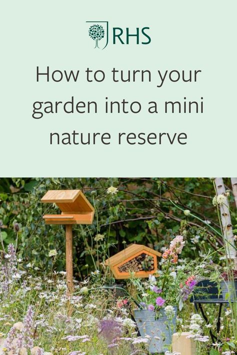 Discover five top tips for how you can create a home for wildlife in your garden, no matter its size 🐝🌳🌸 Permaculture, Allotment Wildlife Area, Rewilding Garden Uk, Small Wildlife Garden Ideas, Attract Wildlife To Garden, Wildlife Friendly Backyard, Wildlife Garden Ideas Uk, Wildlife Habitat Garden, Wildlife Friendly Garden Ideas