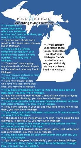 Michigan Facts, Jeff Foxworthy, Detroit History, Michigan Girl, Michigan Road Trip, Michigan Vacations, Michigan Travel, State Of Michigan, Upper Peninsula