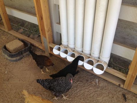 PVC pipe multi feeder.  Make it fillable from outside the coop! Diy Chicken Feeder, Pvc Chicken Feeder, Automatic Chicken Feeder, Thread Diy, Chicken Feeder Diy, Chicken Waterer, Types Of Chickens, Chicken Feeders, Coop Design