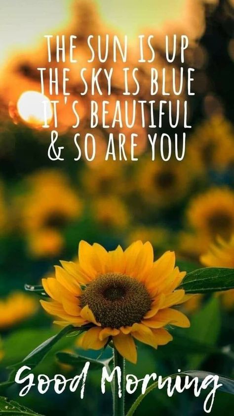 Quotes With Friends, Beautiful Day Quotes, Good Morning Flower, Good Morning Hug, Good Morning Funny Pictures, Positive Good Morning Quotes, Morning Memes, Beautiful Morning Quotes, Good Morning Sunshine Quotes
