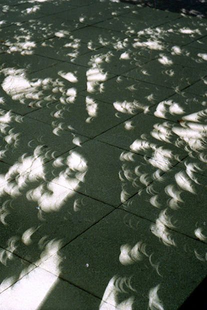 During a solar eclipse, tiny gaps between leaves act as pinhole lenses, projecting crescent shaped images of the eclipsed sun onto the world below. Pinhole Camera, Tumblr, Nature, Shadow Tree, Boring Pictures, Pinhole Photography, Photography Assignments, Sun Shadow, Photo Arts