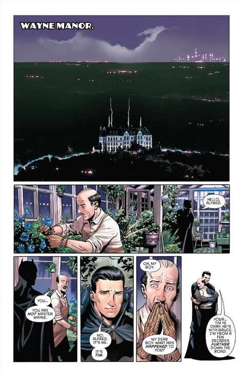 Dc Alfred, Batman Panels, Young Justice Funny, Bat Brothers, Alfred Pennyworth, Tim Drake Red Robin, Batman Love, Wayne Manor, Funny Minion Pictures