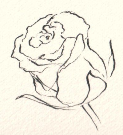 How to Draw Flowers in Ink and Other Mediums Croquis, Rose Sketch, Best Pencil, Rose Drawing, Flower Sketches, Roses Drawing, Plant Drawing, Trendy Flowers, Wow Art