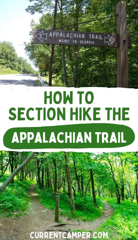 Section Hike Appalachian Trail, Backpacking Appalachian Trail, Appalachian Trail Section Hikes, Section Hiking The Appalachian Trail, Appalachian Trail Thru Hike, Nashville Hiking, Hiking Appalachian Trail, Appalachian Trail Georgia, Hiking Goals