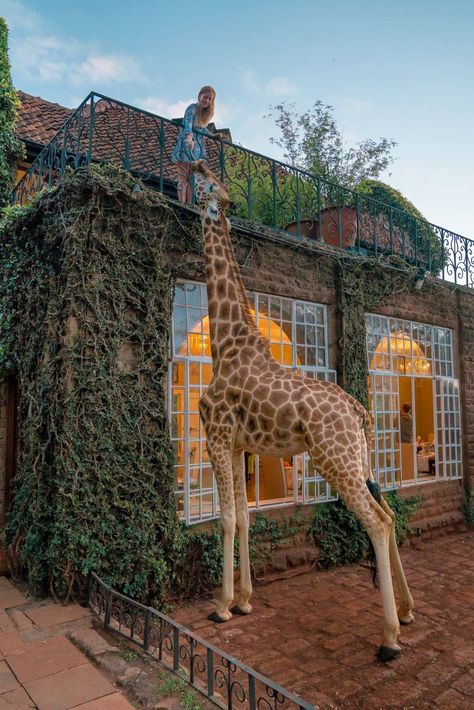 Nairobi, Travel Aesthetic Africa, Traveling Goals, Giraffe Manor, Kenya Travel, Nairobi Kenya, A Giraffe, Tulum Mexico, Dream Travel Destinations