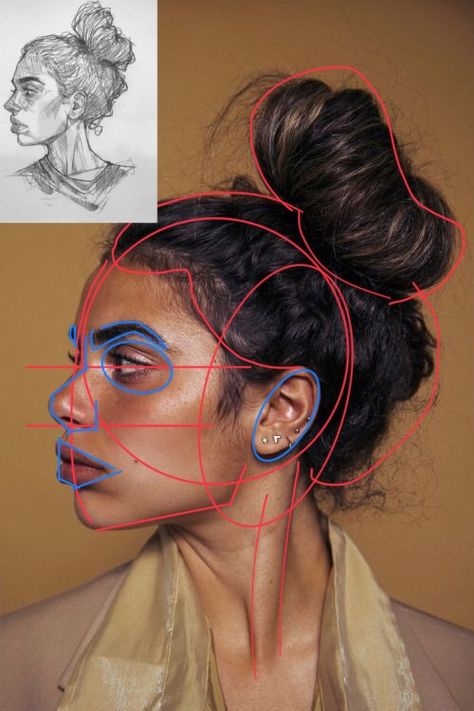 #ArtReference #Reference #Art Facial Study Drawing, Art Reference Photos Faces Front View, Drawing Tips Face Realistic, Face Shadows And Highlights Reference, Human Face Proportions, Reference Images Faces, Potrait Sketch Beginner, Human Reference Face Portraits, 3 Quarter View Face Reference