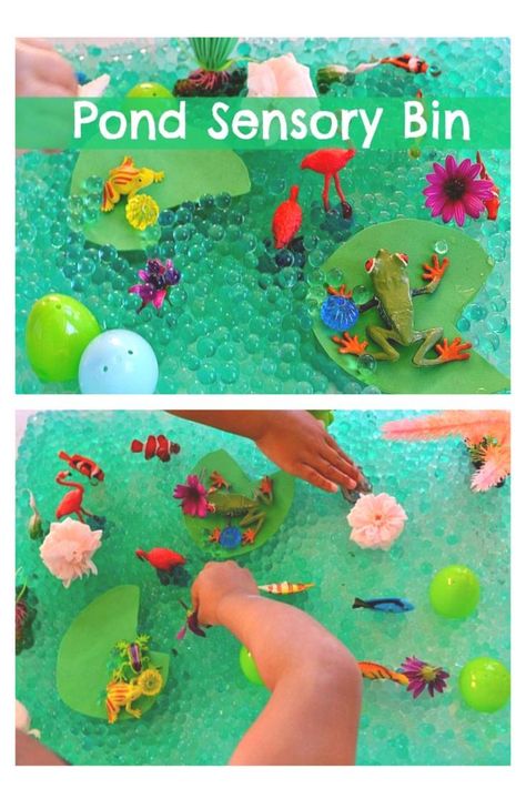 Sensory Activities for Toddlers Reptiles Theme Preschool Activities, Frog Sensory Play, Life Cycle Activities For Toddlers, Life Cycle Activities For Preschoolers, Pond Life Crafts For Toddlers, Pond Theme Preschool, Pond Life Preschool Activities, Frog Sensory Bin, Pond Sensory Bin