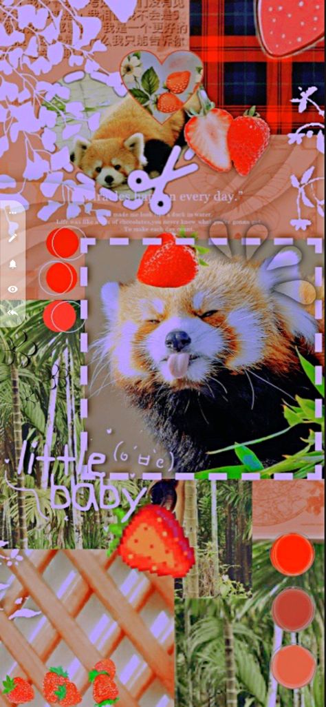 Pandas, Red Panda Wallpaper Aesthetic, Red Panda Aesthetic Art, Red Panda Aesthetic Wallpaper, Aesthetic Wallpaper Panda, Cute Red Panda Wallpaper, Red Panda Background, Red Panda Wallpaper Iphone, Red Panda Aesthetic