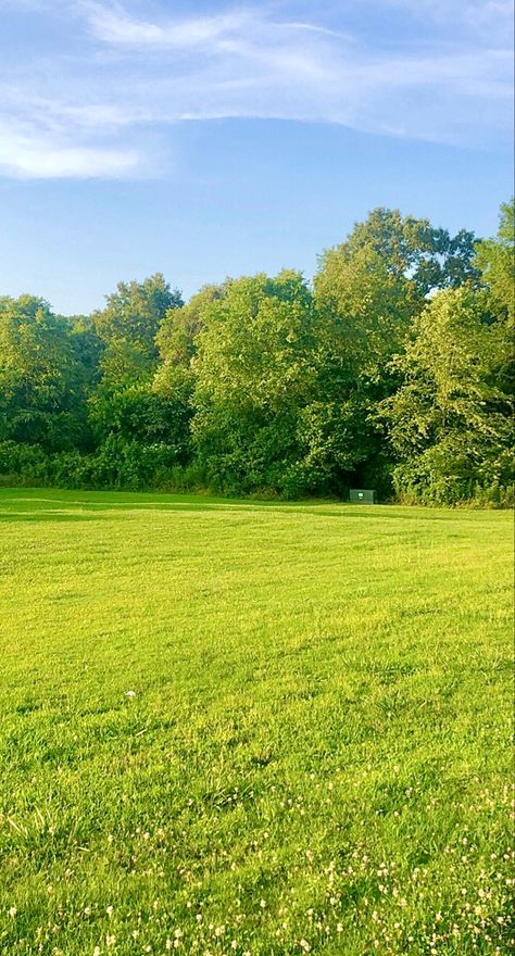 Field Background Nature, Background Grass Nature, Grass Asethic, Green Fields Photography, Lush Green Landscape, Field Of Grass Aesthetic, Grass Background Aesthetic, Grass Aesthetic Wallpaper, Landscape Green Aesthetic