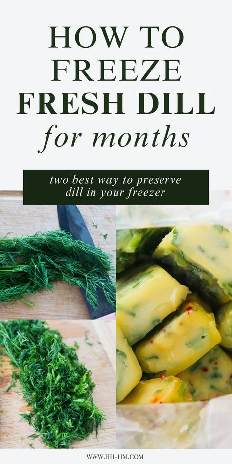 Learn how to freeze dill and dill leaves for months! Here you'll find two methods that will make freezing dill and easy and fun task. How Do You Freeze Fresh Dill, How To Use Up Fresh Dill, Dill Recipes Vegetarian, Can You Freeze Fresh Dill, Freezing Fresh Dill, Cooking With Fresh Dill, How Do You Preserve Fresh Dill, Can You Freeze Dill, What To Make With Fresh Dill