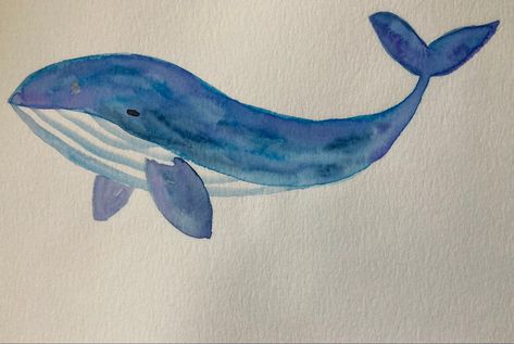 Blue Whale Drawing, Sea Animals Drawings, Sea Creatures Drawing, Shark Painting, Whale Drawing, Ocean Drawing, Sea Drawing, Shark Drawing, Whale Painting