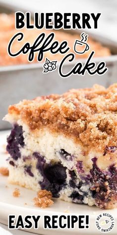 Essen, Sourdough Discard Blueberry, Buckle Recipe, Blueberry Coffee Cake Recipe, Blueberry Desserts Recipes, Blueberry Crumb Cake, Breakfast Coffee Cake, Blueberry Buckle, Coffee Cake Recipes Easy