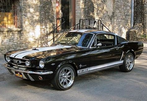 Mustang Fastback 65 Fastback Mustang, 1965 Ford Mustang Fastback, 65 Mustang Fastback, 1965 Mustang Fastback, Mustang 65, Mustang 1967, Mobil Mustang, Mustang Gt350, Ford Mustang 1965