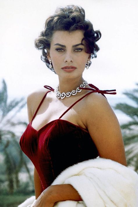 Monica Bellucci, Carlo Ponti, Curly Pixie Cuts, Sofia Loren, Curly Pixie, Shoulder Tattoos For Women, Italian Actress, Italian Women, Sophia Loren