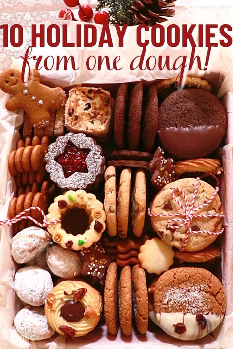 Chistmas Cookies, Bulk Cookies, Christmas Cookie Dough, Christmas Cookie Boxes, Gingerbread Cookie Dough, Christmas Cookie Box, Mini Chocolate Chip Cookies, Bake Sale Recipes, Basic Cookies