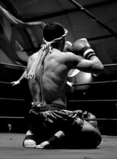 Muay Thai Combat Sport Aesthetic, Boxing Physique, Muay Thai Photography, Beginner Boxing Workout, Muay Thai Aesthetic, Muay Thai Art, Beginner Boxing, Martial Arts Photography, Muay Thai Gym