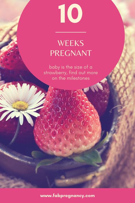 At 10 weeks pregnant your baby is about the size of a strawberry, but this is not all that is happening. Everything you need to know, from how many months is 10 weeks, 10 weeks pregnant, 10 weeks pregnant symptoms and much more. #fertility, #howtogetpregnantfaster, #10weekspregant, #10weekspregnantsymptoms, #fabpregnancy 10 Weeks Pregnant Symptoms, Baby Week By Week, Bump Progression, Pregnant Symptoms, 10 Weeks Pregnant, Baby Weeks, Pregnancy Congratulations, Just Graduated, Weeks Pregnant