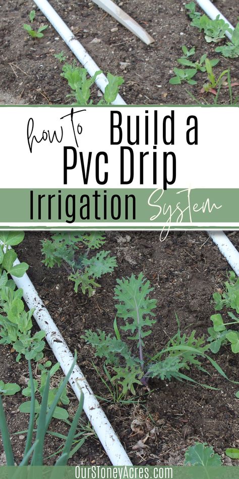 Water System For Garden Drip Irrigation, Backyard Irrigation Ideas, Simple Irrigation Ideas, Garden Self Watering System, Upcycled Vegetable Garden, Pvc Irrigation For Garden, Vegetable Garden Watering System Diy, Self Watering System For Plants, Water Systems For Gardens