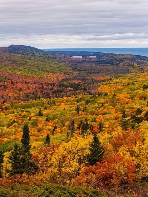 Nature, Fall Outdoors Aesthetic, Nature Landscape Pictures, Fall Landscapes, Fall View, Autumn Song, Fall In Michigan, Travel Michigan, Nature Photography Landscape