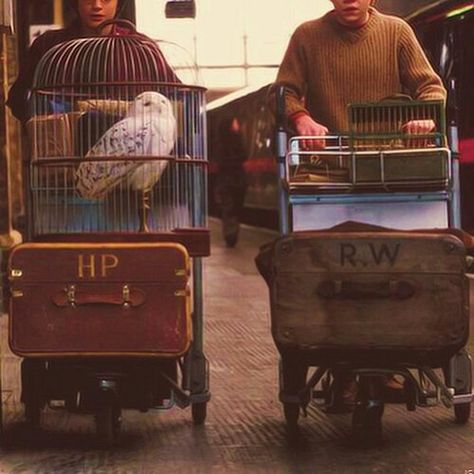 Platform 9 3/4 // Harry // Ron // luggage Scorpius And Rose, Citate Harry Potter, Wallpaper Harry Potter, Gryffindor Aesthetic, Tapeta Harry Potter, Harry Potter Wall, Buku Harry Potter, Theme Harry Potter, Images Harry Potter