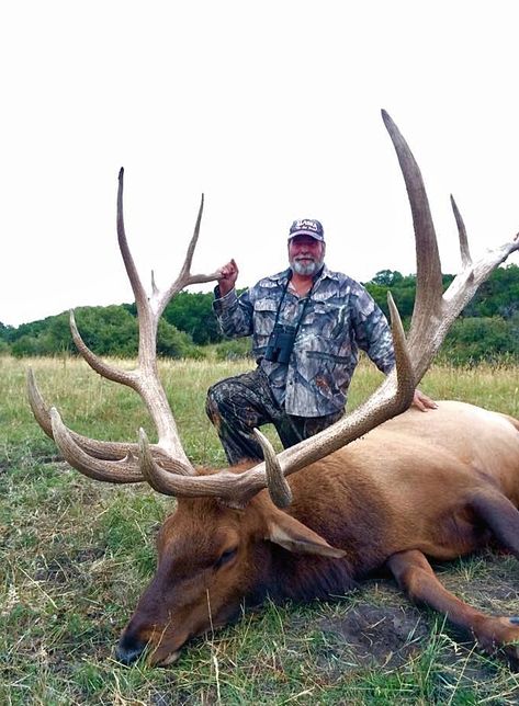 Unmatched Colorado Trophy Hunts Archery Elk Hunting, Elk Hunting Tips, Caribou Hunting, High Fence, Western Hunting, Elk Hunting Gear, Bull Elk, Trophy Hunting, Hunting Tips