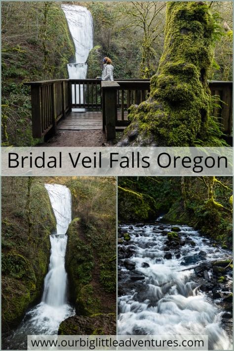 Bridal Veil Falls Oregon, Bridal Veil Plant, Black Bridal Veil, Beaded Bridal Veil, Vintage Bridal Bouquet, Vintage Bridal Hair, Oregon Trip, Bridal Veils And Headpieces, Vacation 2024