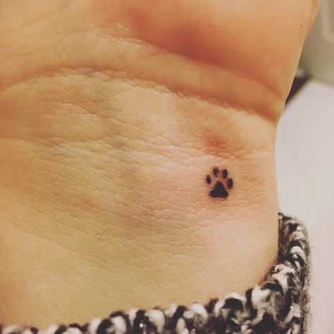 Small Paw Print Tattoo Finger, Small Tattoos Pets, Dog Paw Tattoo On Wrist, Dog Print Tattoo Small, Tiny Cat Paw Print Tattoo, Paw Print Tattoo Line Art, Simple Pawprint Tattoo, Fine Line Tattoo On Hand, Tiny Dog Paw Print Tattoo