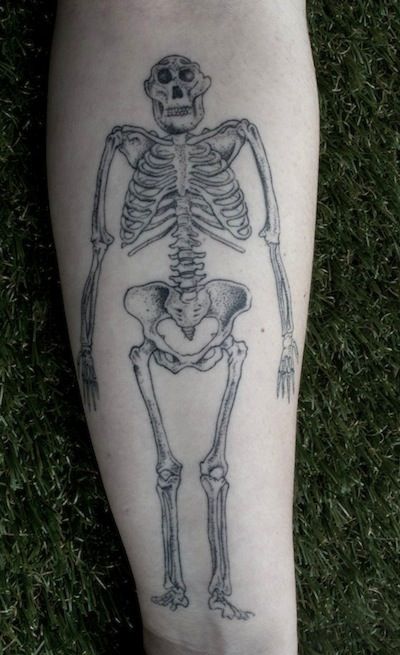 My only problem with this "Lucy" tattoo is that it is a merging of several fossils instead of just the Lucy remains. Fossils Tattoo, Anthropology Tattoo, Lucy Skeleton, Fossil Tattoo, Lucy Tattoo, Australopithecus Afarensis, Science Tattoo, Science Tattoos, Hp Tattoo