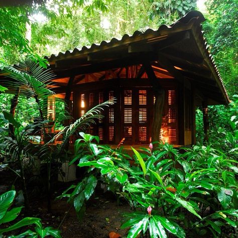 Talk about a getaway! A private bungalow in the middle of a remote costa rica rainforest! @nicuesalodge Puntarenas, Corcovado National Park, Cartago, Costa Rica Retreat, Costa Rica Hotel, Wilderness Retreat, Eco Lodges, Peninsula Hotel, Jungle House