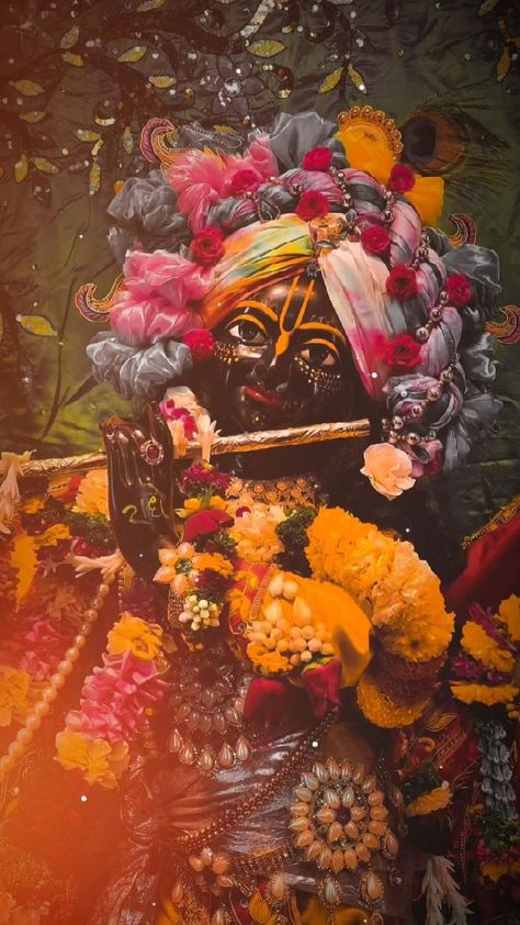 #krishna #shreeram #kanha #harekrishna #status #hindu Vrindavan Photography Pictures, Hey Ram, Krishna Gif, Gold Wallpaper Iphone, Kanha Ji, Wallpaper Photo Gallery, Krishna Flute, Krishna Book, Owl Wallpaper