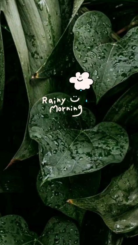 Morning Rain Photography, Rainy Morning Quotes, Morning Sunset, Sunset Quotes Instagram, Rainbow Photography, Morning Rain, I Love Rain, Rainy Morning, Instagram Picture Quotes