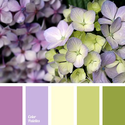 In Color Balance, Class Inspiration, Color Palette Ideas, Purple Color Palettes, Color Palette Yellow, Palette Design, Color Schemes Colour Palettes, Palette Ideas, Kunst Inspiration