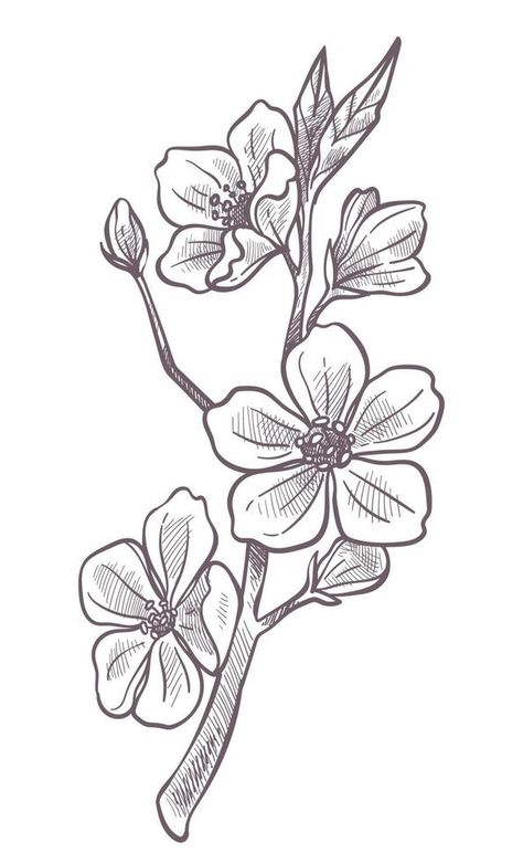 Sakura blooming, cherry blossom tree branch sketch Tree Branch Sketch, Cherry Blossom Tree Branch, Branch Sketch, Sketch Outline, Leaves Sketch, Sakura Tattoo, Cherry Blooms, Branch Tattoo, Note Doodles