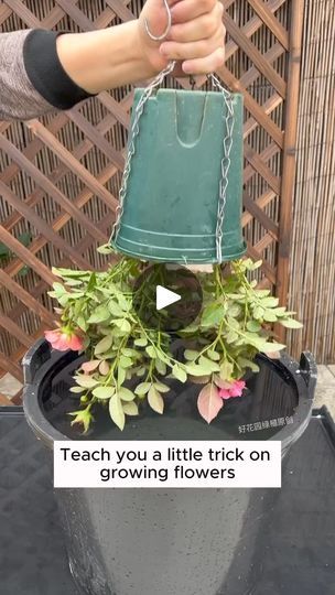 151K views · 930 reactions | Take care of your plants more beautifully with baking soda #gardeningfun #gardening_feature #urbangardening #gardeninguk #gardeningphoto #gardeningistherapy #gardening101 #gardeningisfun #gardeningtime #gardeningday #gardeningproblems #gardeninggoals #gardeningideas #gardeninglove #gardening4pleasure #gardeningtips #gardeningmakesmehappy | Gardening tips | Gardening tips · Original audio Garden Hacks Diy, Indoor Water Garden, Garden Remedies, Plant Care Houseplant, Indoor Vegetable Gardening, Plant Help, Backyard Water Feature, Plant Problems, Flower Pots Outdoor