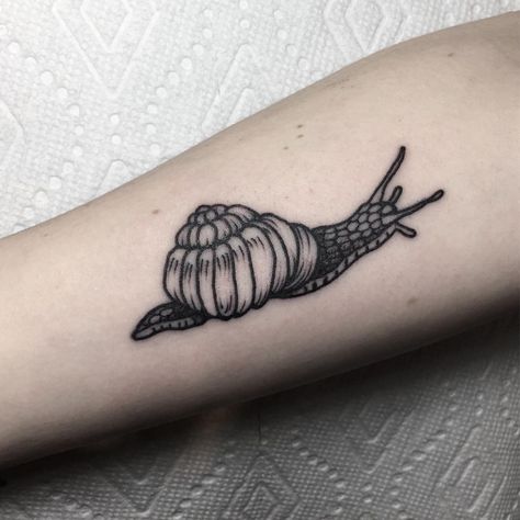 Snail Tattoo Blackwork, Rolly Polly Tattoo, Bug Tattoos, Snail Tattoo, Art Deco Tattoo, 12 Tattoos, Engraving Tattoo, Autumn Tattoo, Bug Tattoo