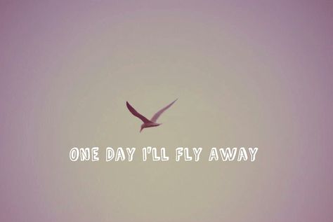 One Day, Songs, I'll Fly Away, Ill Fly Away, One Day I Will, Fly Away, Deep Thoughts, Tshirt Designs, Band