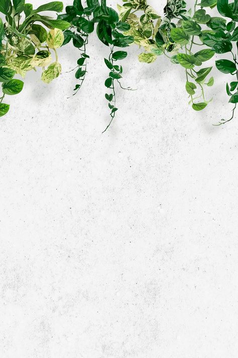 Green Leaf Background Aesthetic, Leaf Background Wallpapers, Leaf Background Aesthetic, Green Flowers Background, Green Plants Background, Green Flower Background, Green Plants Wallpaper, Plain Green Background, White And Green Background