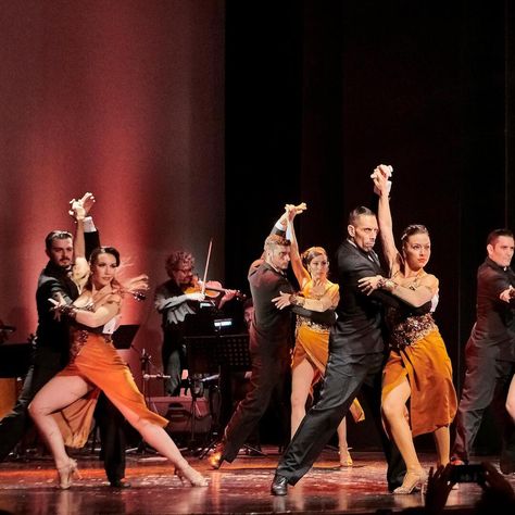 Enjoy a special night in Buenos Aires dining and watching an authentic Piazzolla Tango Show while you are visiting Buenos Aires. Discover what real Tango looks and feels like and admire authentic Argentinian professional dancers and musicians in a French-style Art Noveau theater. ◾ Admire the spectacular Galería Güemes, one of the most luxurious theaters in Buenos Aires ◾ Attend an outstanding artistic display of authentic Argentine music and dance ◾ See professional performers dancing tradition Buenos Aires, Argentinian Tango, Dinner Show, Tango Dancers, Music And Dance, Art Noveau, Professional Dancers, Into The Wild, Belle Epoque