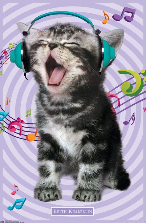 Minions, Keith Kimberlin, Silly Animals, Cat Posters, Cute Poster, Trends International, Silly Cats, Wall Poster, Pretty Cats